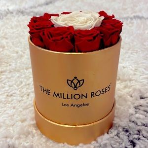 Preserve roses by the million roses LA